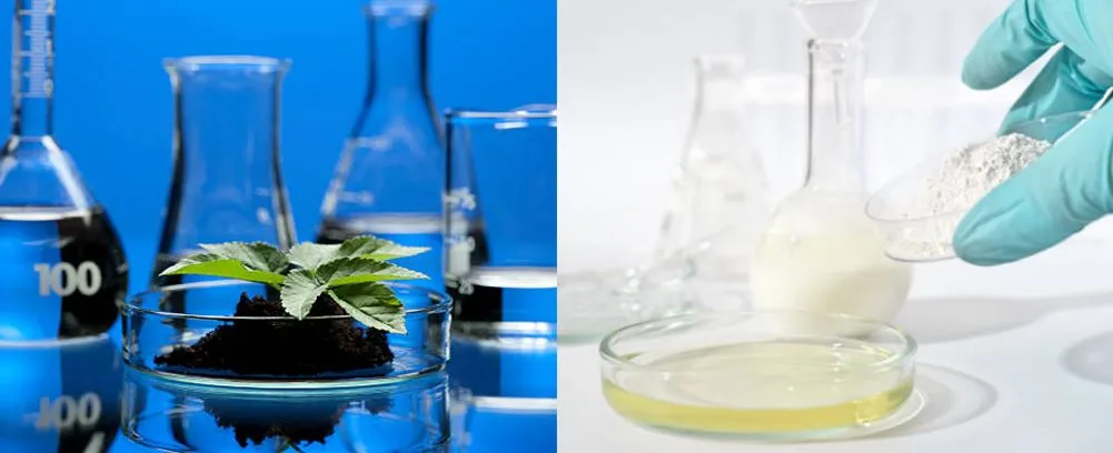 Laboratory glass petri dish 90mm application